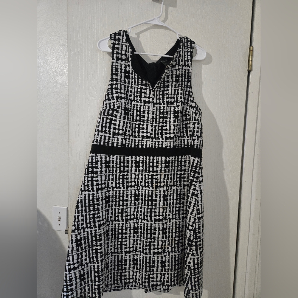 Size 18 Ann Taylor Chic Black and White Sleeveless Dress